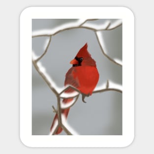 Cardinal Sticker